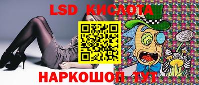 прущие грибы Обнинск
