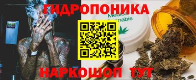 гашик Нягань
