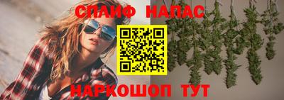 прущие грибы Обнинск